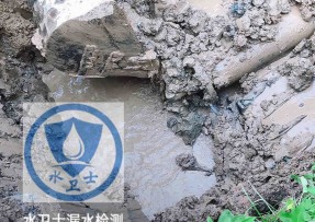 斗门区水管漏水检测公司5